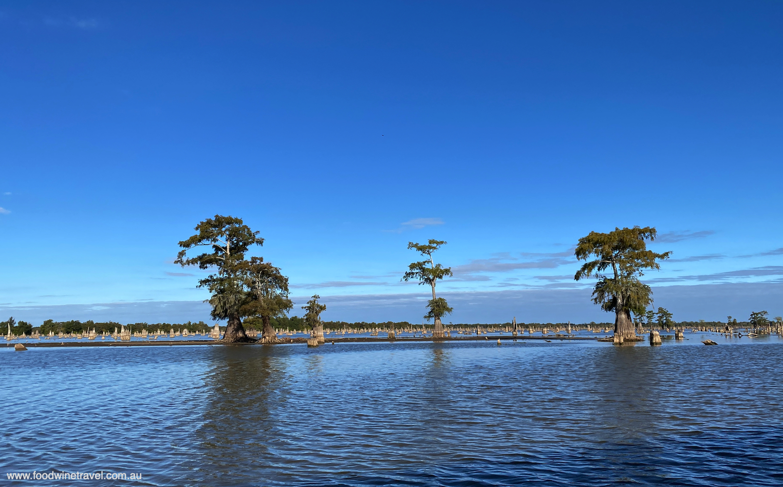 Atchafalaya Basin: The Louisiana Swamp That Keeps On Giving 