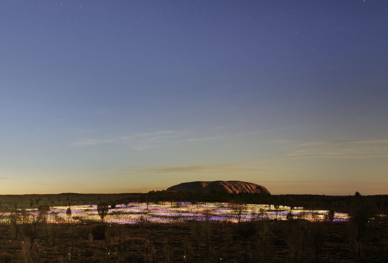 Field of Light: celebrating 10 years at Uluru.