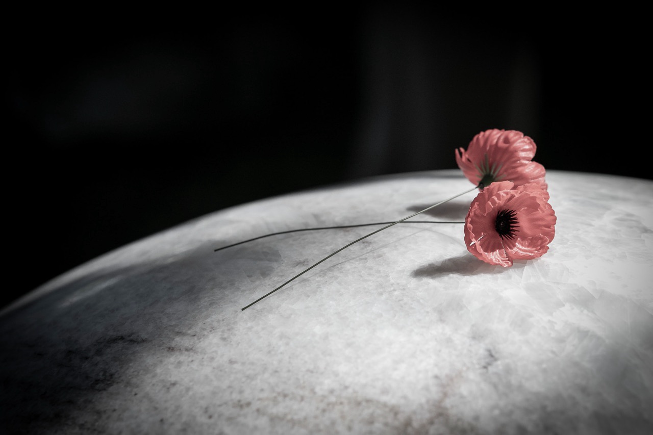 For Every Drop Shed In Anguish, Australian War Memorial, Canberra.