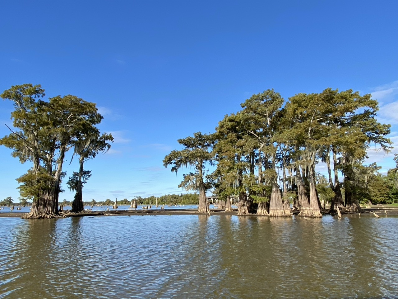 Atchafalaya Basin: The Louisiana Swamp That Keeps On Giving 