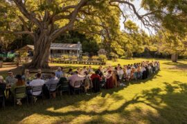 Dining under the trees at the Scenic Rim Farm Shop and Café during Eat Local Month.