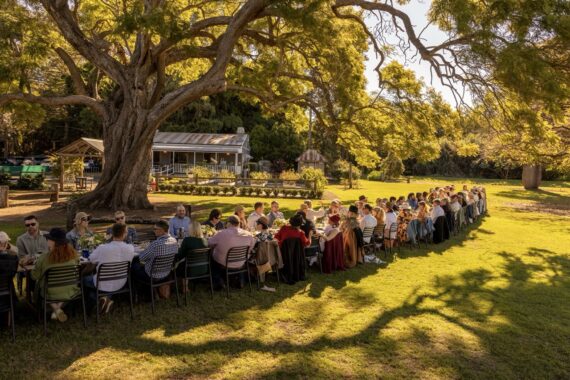 Dining under the trees at the Scenic Rim Farm Shop and Café during Eat Local Month.