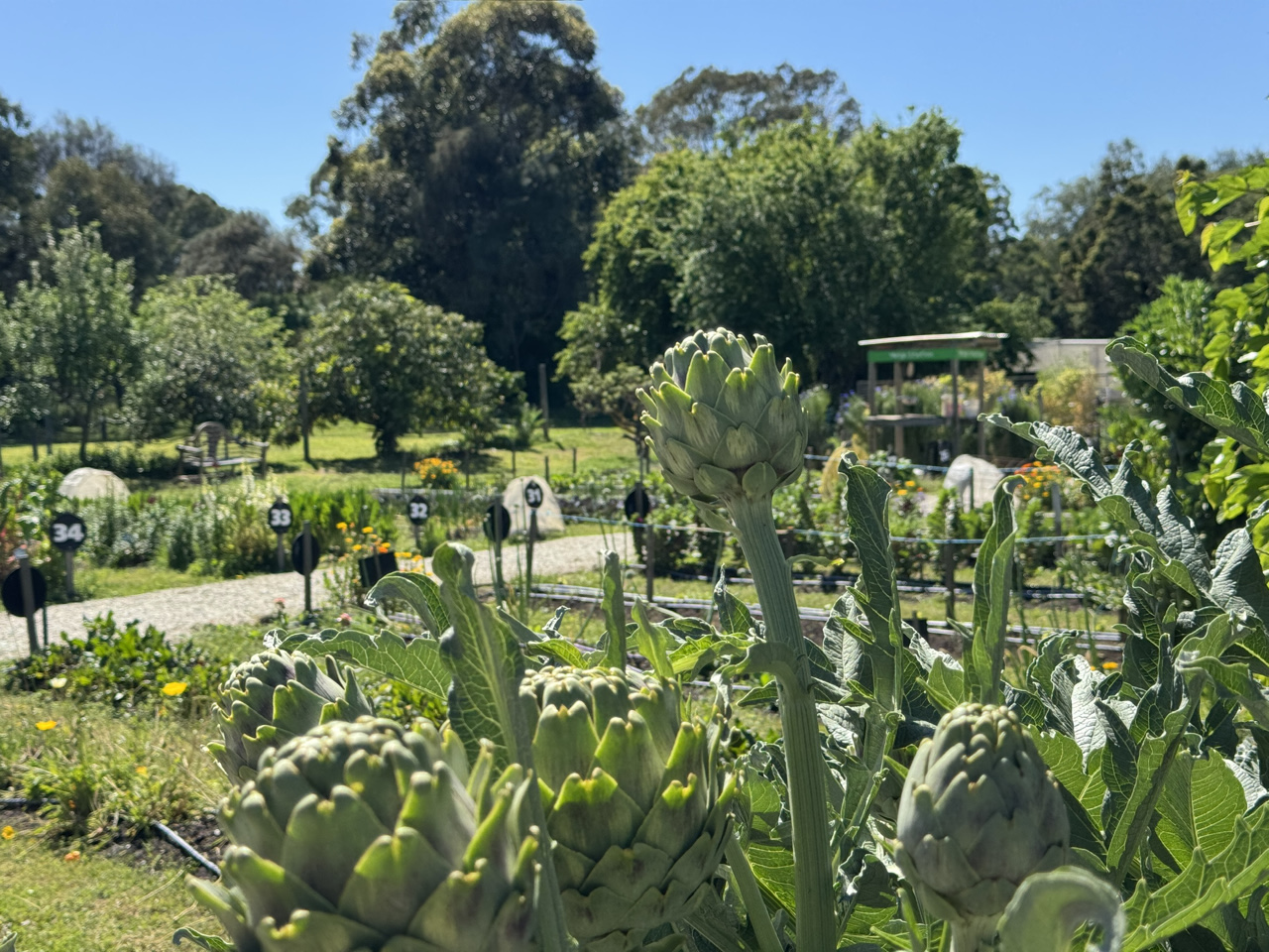 Two-thirds of the employees at Peppergreen Farm are people with disabilities.