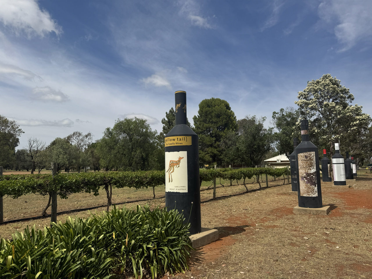 The avenue of big wine bottles in Remembrance Drive.