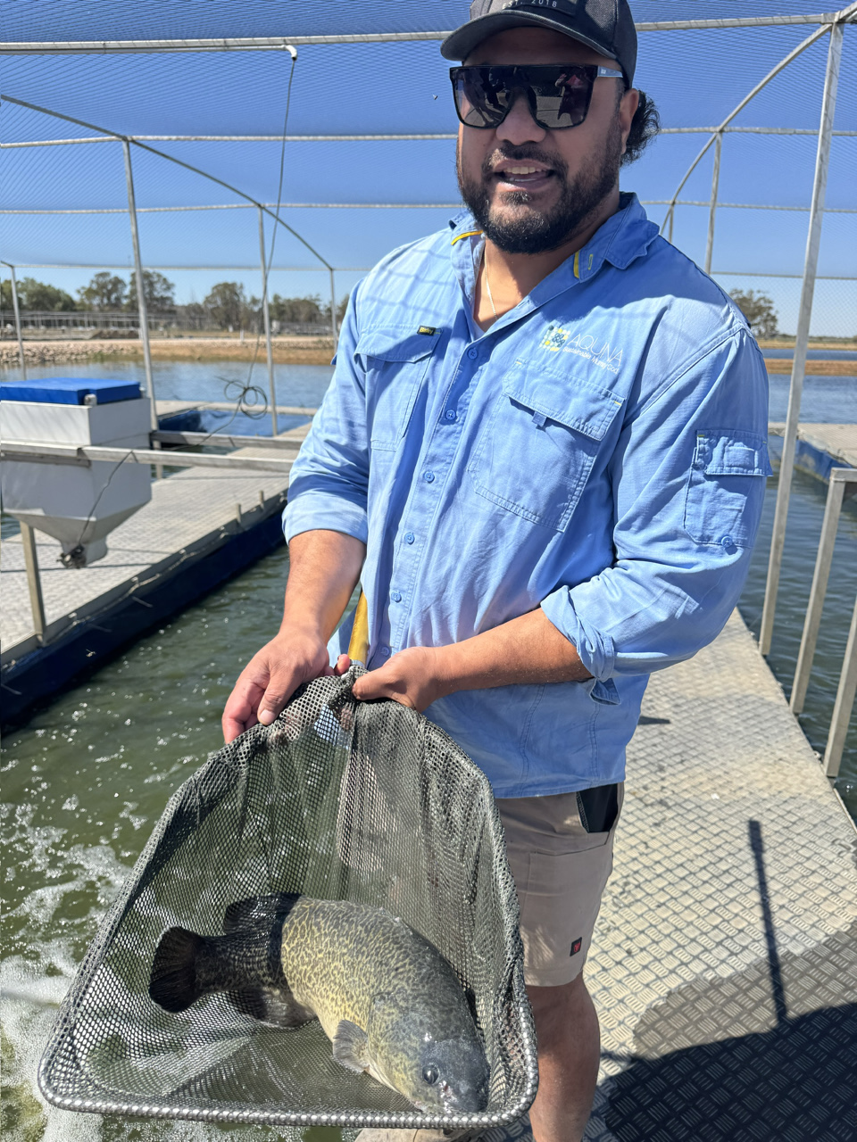 Sala Musu, site manager at Aquna Sustainable Murray Cod, with the ‘wagyu of fish’.