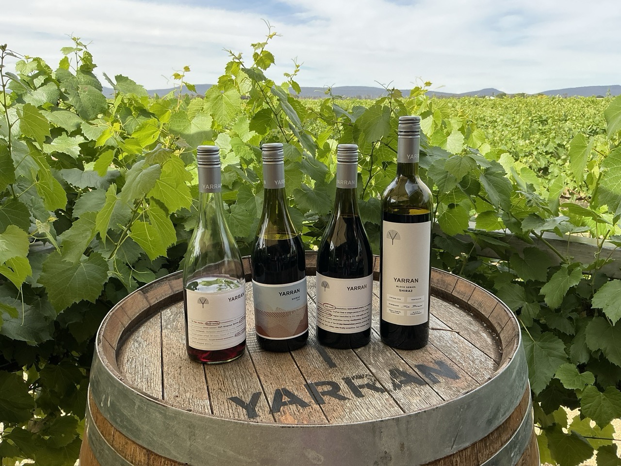 At Yarran Wines, where you can look out over the vines towards the hills of Cocoparra National Park.